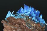 Vibrant Blue Chalcanthite - Planet Mine, Arizona #175323-2